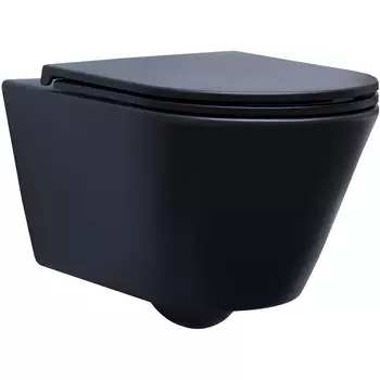 Унитаз Aquanet