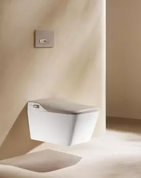 Унитаз биде Arrow