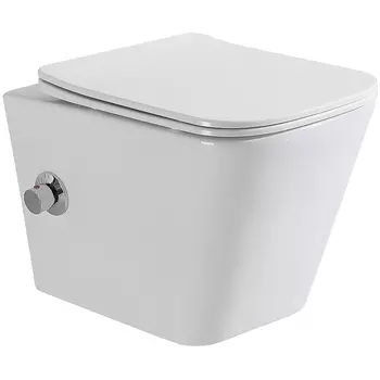 Унитаз биде BelBagno