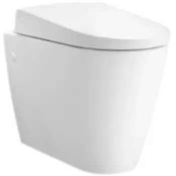 Унитаз биде Geberit