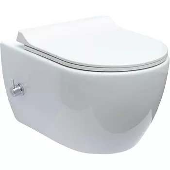 Унитаз биде Logan