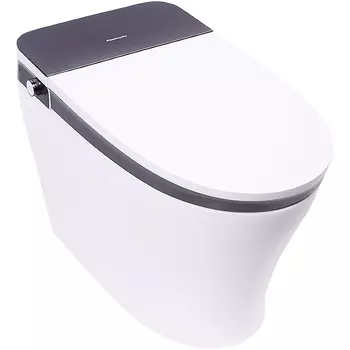 Унитаз биде Panasonic