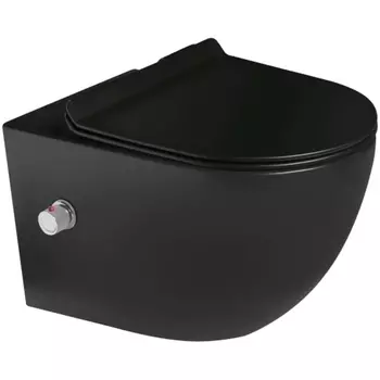 Унитаз биде SantiLine