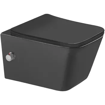 Унитаз биде SantiLine