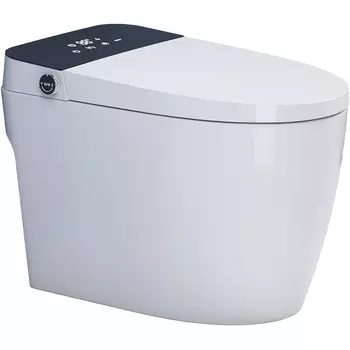 Унитаз биде SantiLine