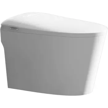 Унитаз биде SantiLine