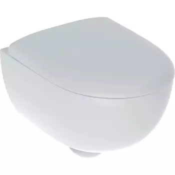 Унитаз Geberit