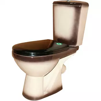 Унитаз компакт Rosa