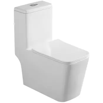 Унитаз моноблок Royce