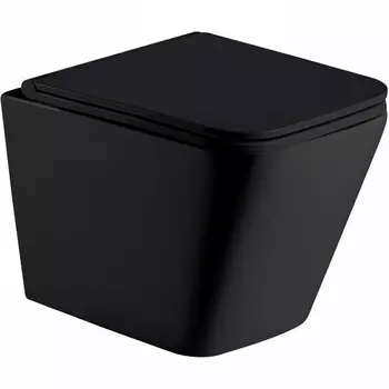 Унитаз WeltWasser