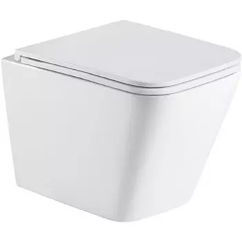 Унитаз WeltWasser