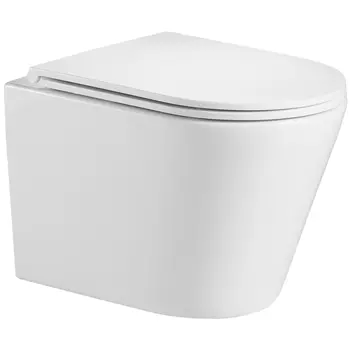 Унитаз WeltWasser