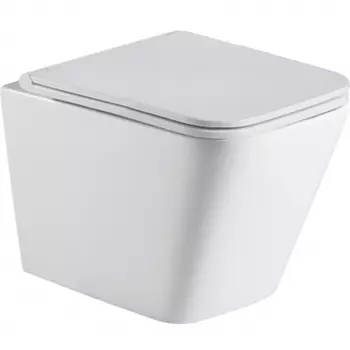 Унитаз WeltWasser