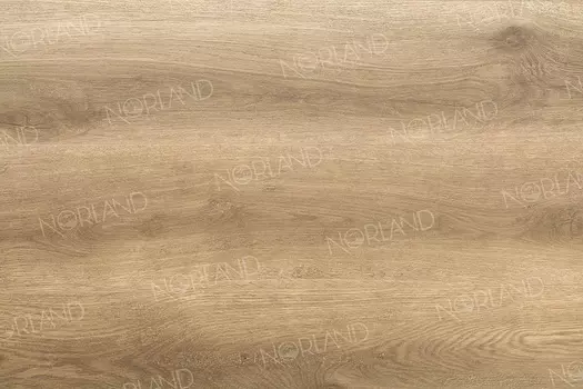 Виниловый ламинат Norland