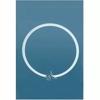 Зеркало Бриклаер