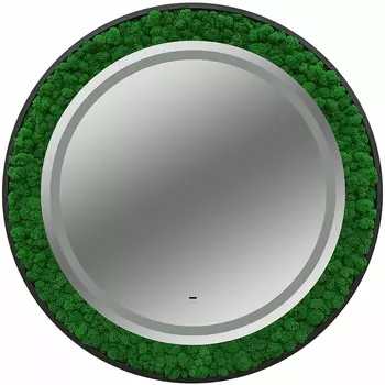 Зеркало Континент