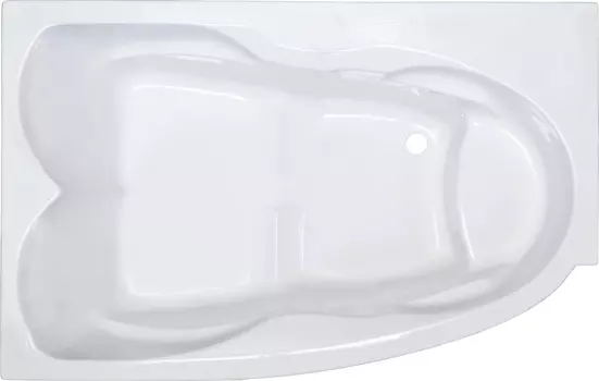 Акриловая ванна Royal Bath Shakespeare RB652100K-L 170 см с каркасом