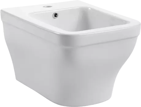 Биде подвесное Акватек Амадео AQ1663-00 белое