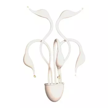 Бра Lumina Deco Magica LDW 6028-5 WT