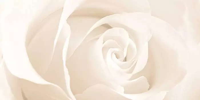 Декор Cersanit Effecta Beige EC2L011