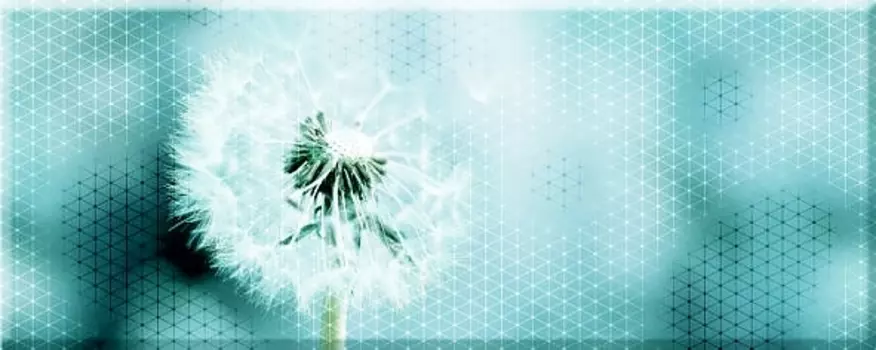 Декор Керамин Концепт 7О тип 1 Одуван