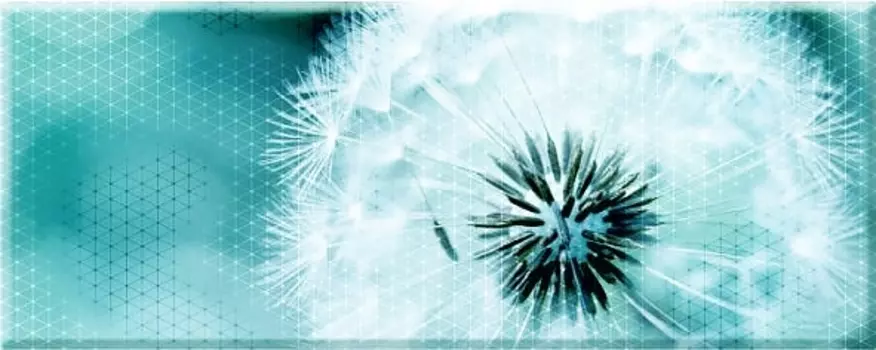 Декор Керамин Концепт 7О тип 2 Одуван