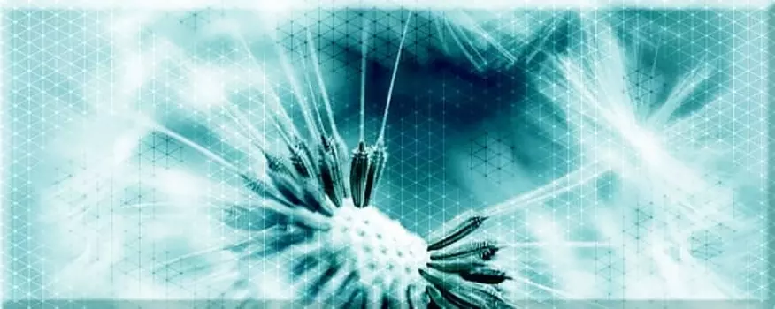 Декор Керамин Концепт 7О тип 3 Одуван