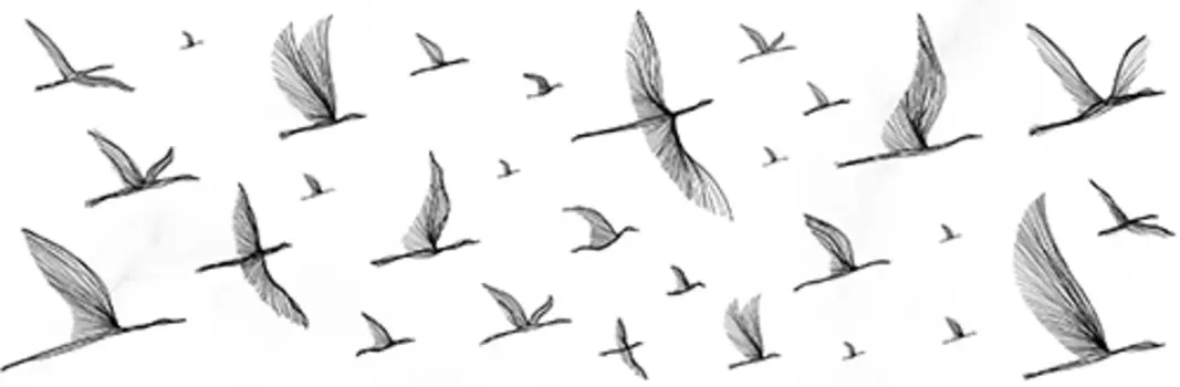 Декор Meissen Keramik Elegance 25x75, птицы EG2U051DT