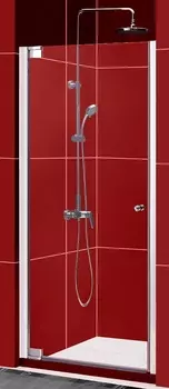 Душевая дверь в нишу Alpen Alpina A100N 100 см A100N-100