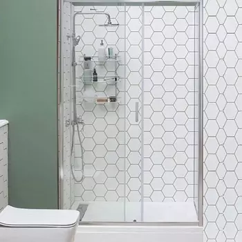 Душевая дверь в нишу Aquanet SD-1100A 110 см