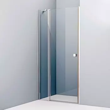 Душевая дверь в нишу Iddis Ray RAY6CP0i69 100 см