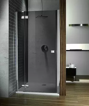 Душевая дверь в нишу Radaway Almatea DWJ 110 стекло графит L 31212-01-05N