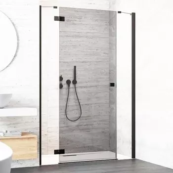 Душевая дверь в нишу Radaway Essenza New Black DWJS 110 L 385030-54-01L