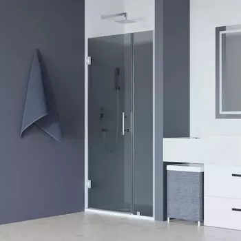 Душевая дверь в нишу RGW Hotel HO-012 1100х1950 профиль хром, стекло тонированное 350601211-31