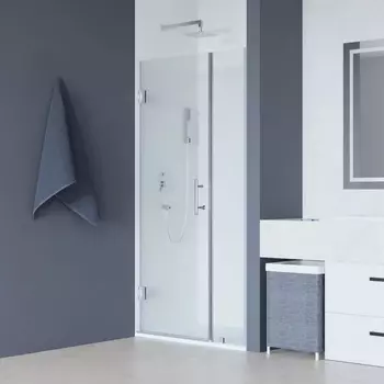 Душевая дверь в нишу RGW Hotel HO-012 1100х1950 профиль хром, стекло прозрачное 350601211-11