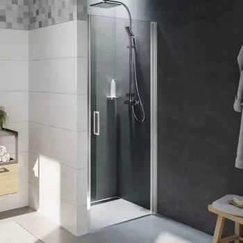 Душевая дверь в нишу Riho Novik Z101 100 см GZ1100000