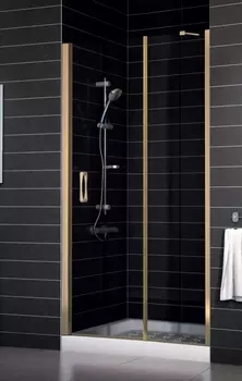 Душевая дверь в нишу Vegas Glass EP-F-1 0120 05 01 L стекло прозрачное, 120 EP-F-1 120 05 01 L