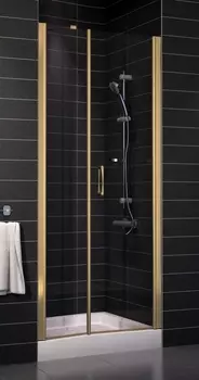 Душевая дверь в нишу Vegas Glass EP-F-2 0100 05 01 R стекло прозрачное, 100 EP-F-2 100 05 01 R