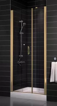 Душевая дверь в нишу Vegas Glass EP-F-2 0105 05 01 L стекло прозрачное, 105 EP-F-2 105 05 01 L