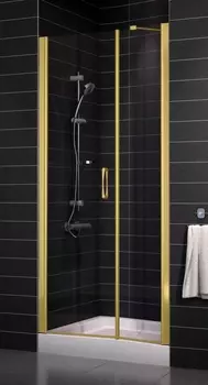 Душевая дверь в нишу Vegas Glass EP-F-2 0105 09 01 L стекло прозрачное, 105 EP-F-2 105 09 01 L