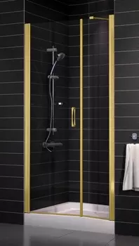 Душевая дверь в нишу Vegas Glass EP-F-2 0120 09 01 L стекло прозрачное, 120 EP-F-2 120 09 01 L