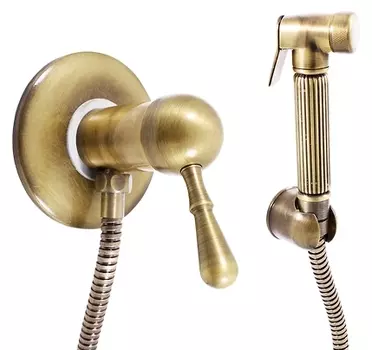 Гигиенический душ Rav Slezak Labe Mosaz L447SM