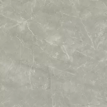 Керамогранит Laparet Wolf Grey 80х80 серый