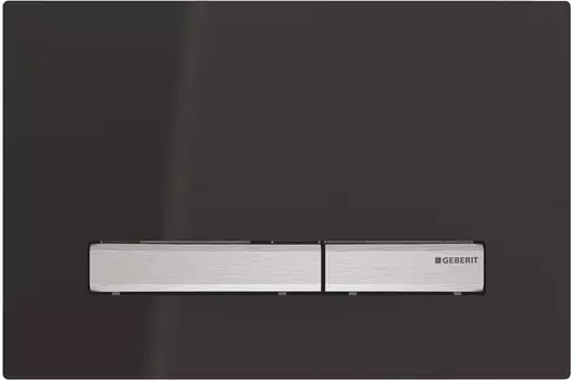 Кнопка смыва Geberit Sigma 50 115.788.DW.2 черный