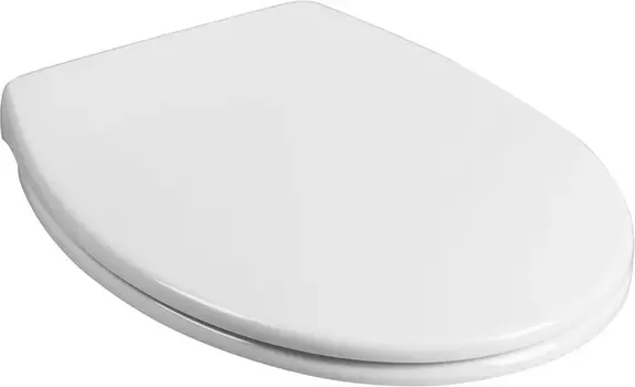 Крышка-сиденье Am.Pm Bliss с микролифтом, петли хром C557851WH