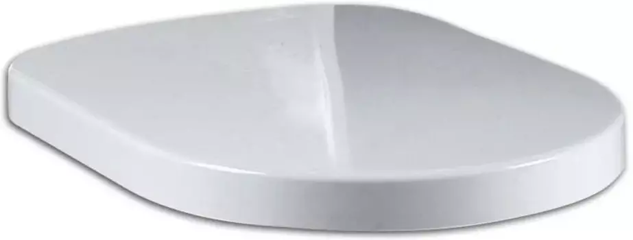 Крышка-сиденье Am.Pm Calla с микролифтом, петли хром C0202Y