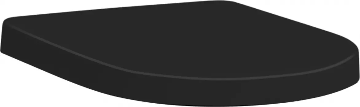 Крышка-сиденье ArtCeram File 2.0 FLA002 nero lucido, с микролифтом, петли хром FLA002 03