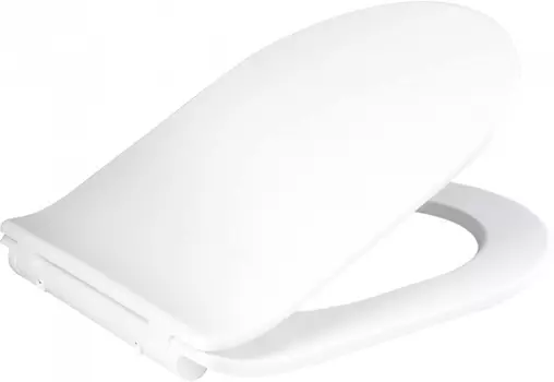 Крышка-сиденье BelBagno BB209SC с микролифтом