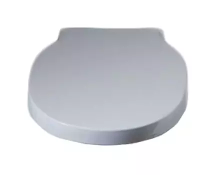 Крышка-сиденье BelBagno Bingo BB548SC с микролифтом, петли хром