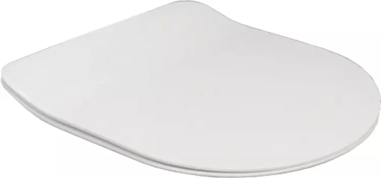 Крышка-сиденье BelBagno Tanto BB2034SC с микролифтом